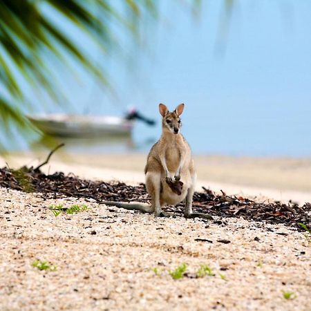 فندق Crab Claw Island Bynoe Harbour المظهر الخارجي الصورة